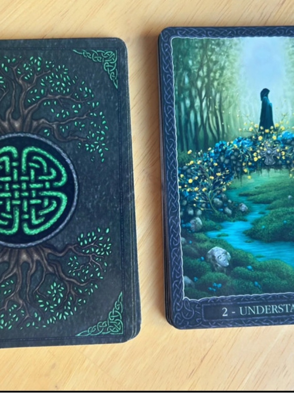 Earth Wisdom Oracle by Barbara Moore - Picture 3 of 5